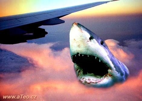 Jaws 1