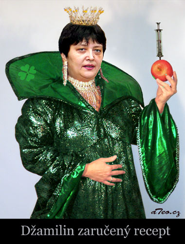 Neřízená střela bez portfeje