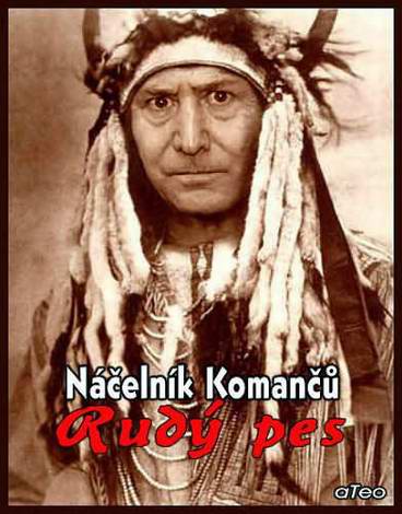 Portrét poblitika