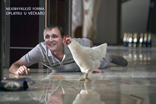 Zobání