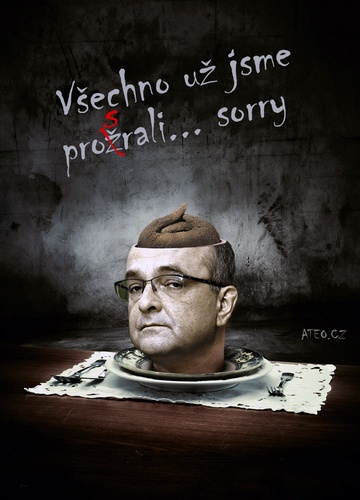 Vládní mozek