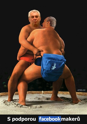 Volební sumo