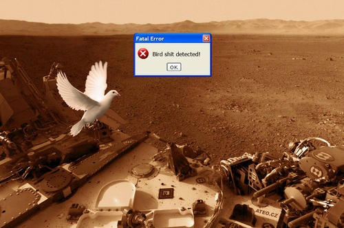 Fatal Error