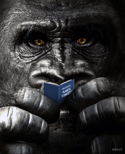 Minibestseller