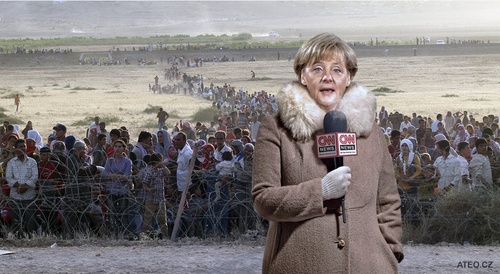 Reportáž