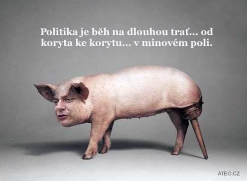 Pigroubek
