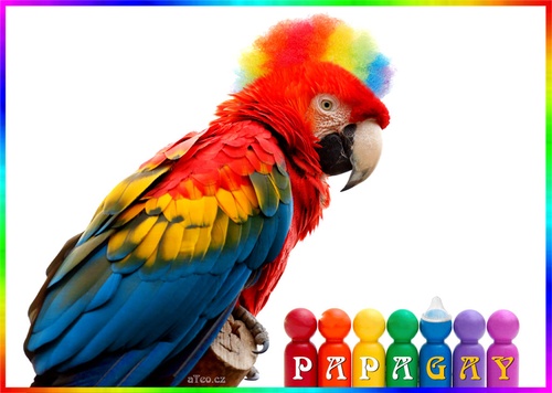 PapaGay
