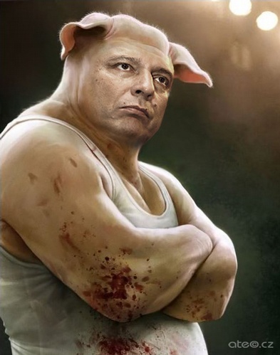 Oběť prasečí chřipky