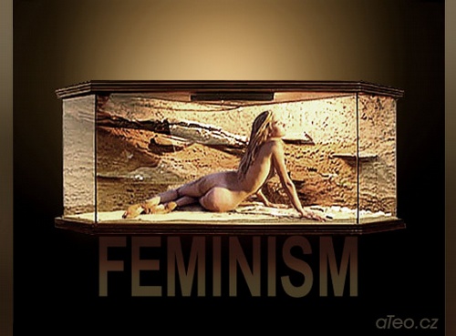 Terarium